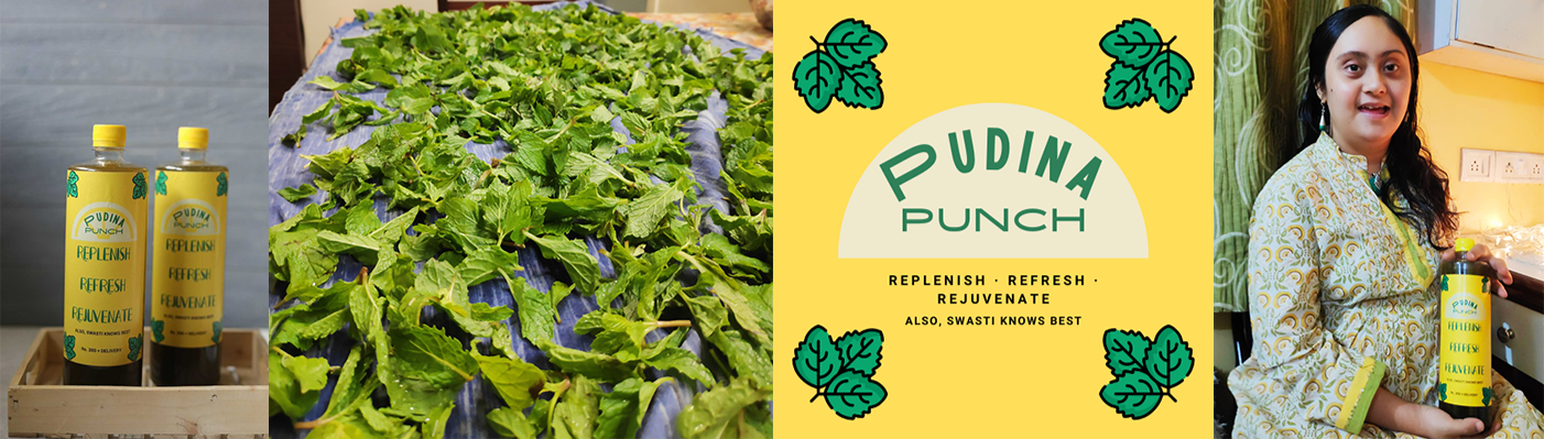 Pudina Punch Banner